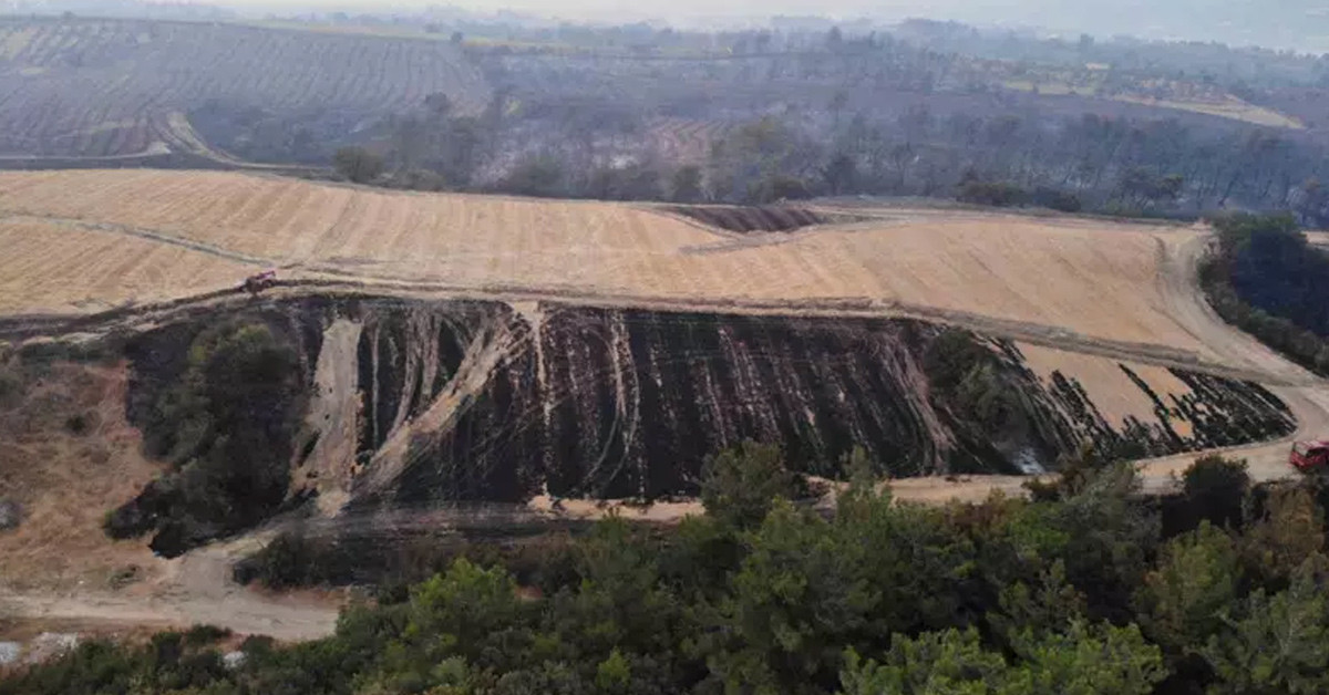 Bakan Yerlikaya'dan Çanakkale'deki orman yangını çalışmaları hakkında açıklama 