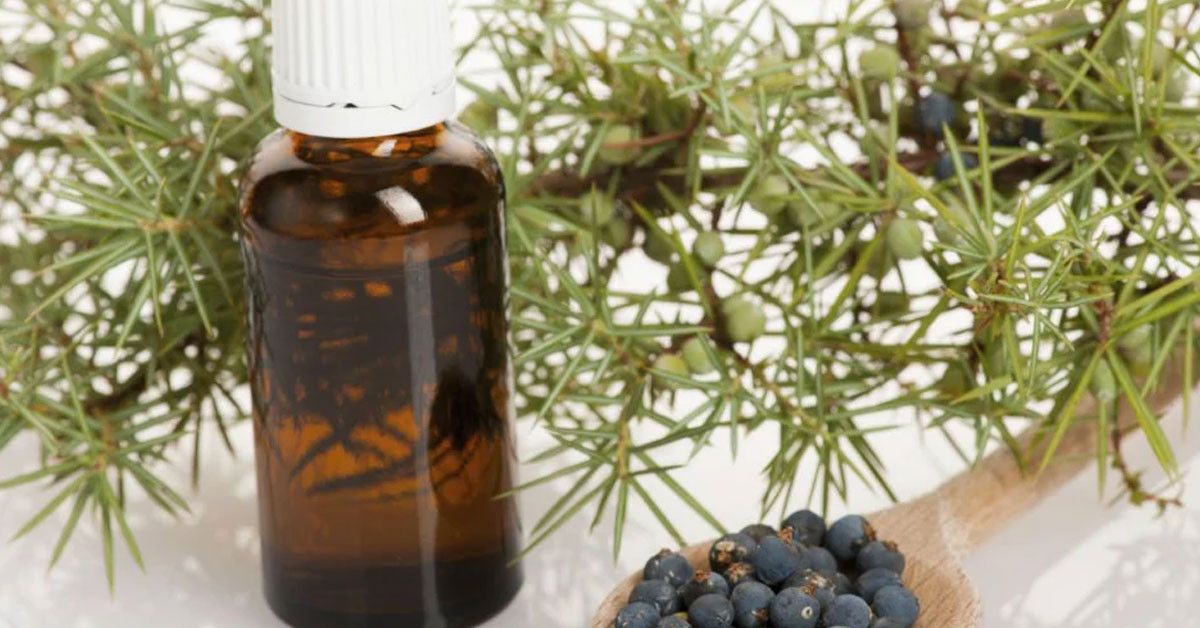 İdrar yolları iltihaplanmalarını gideriyor