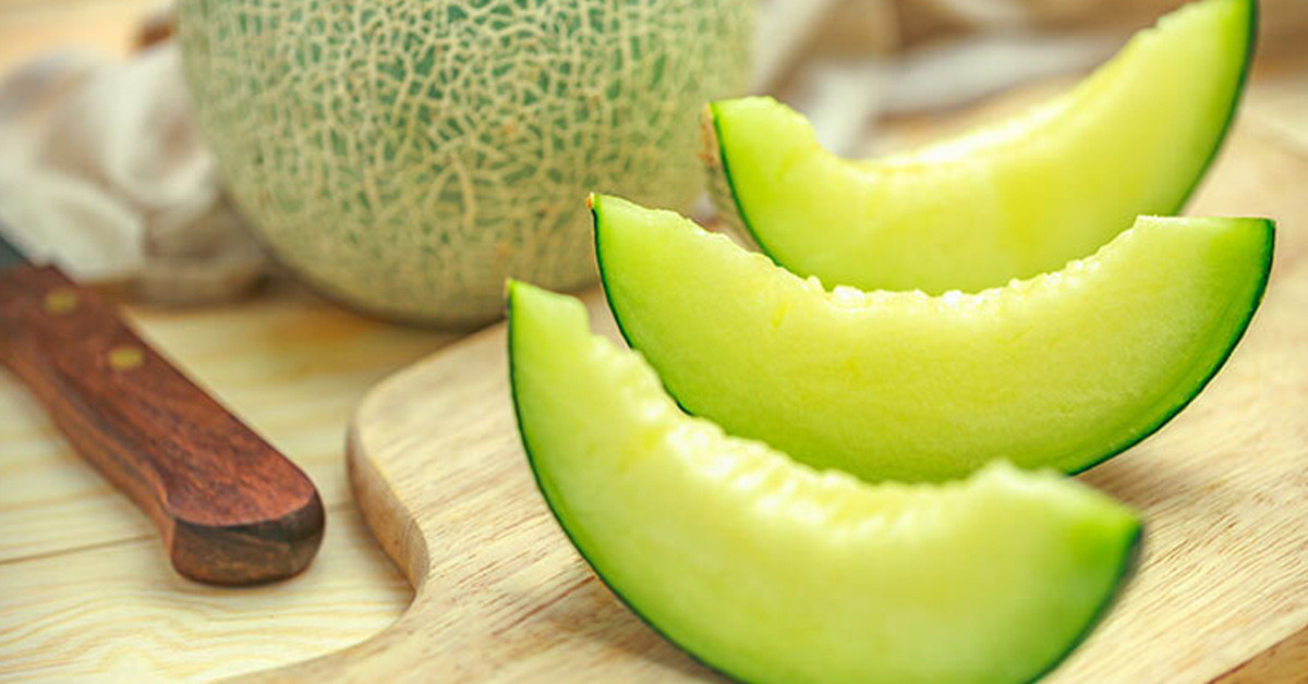 İbn-i Sina'nın kitabı