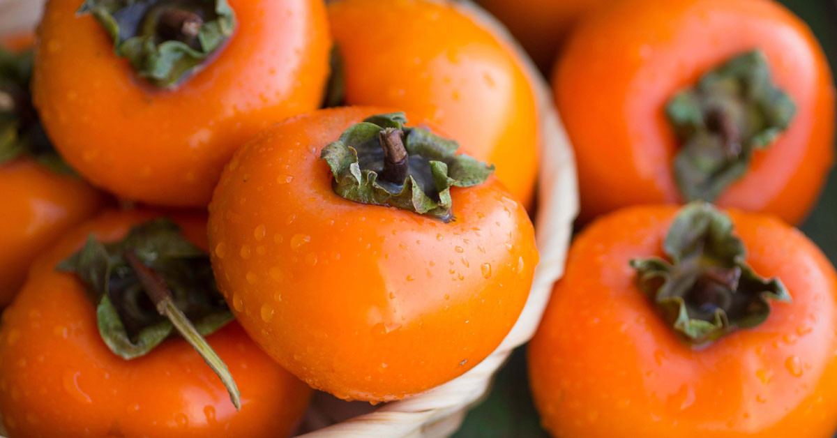 Kolesterolü düşürücü bir etkisi var!