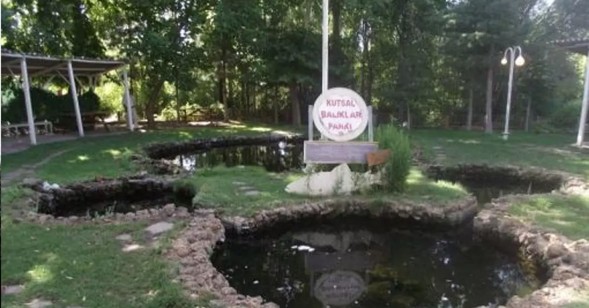 6- Cemil Molla Köşkü