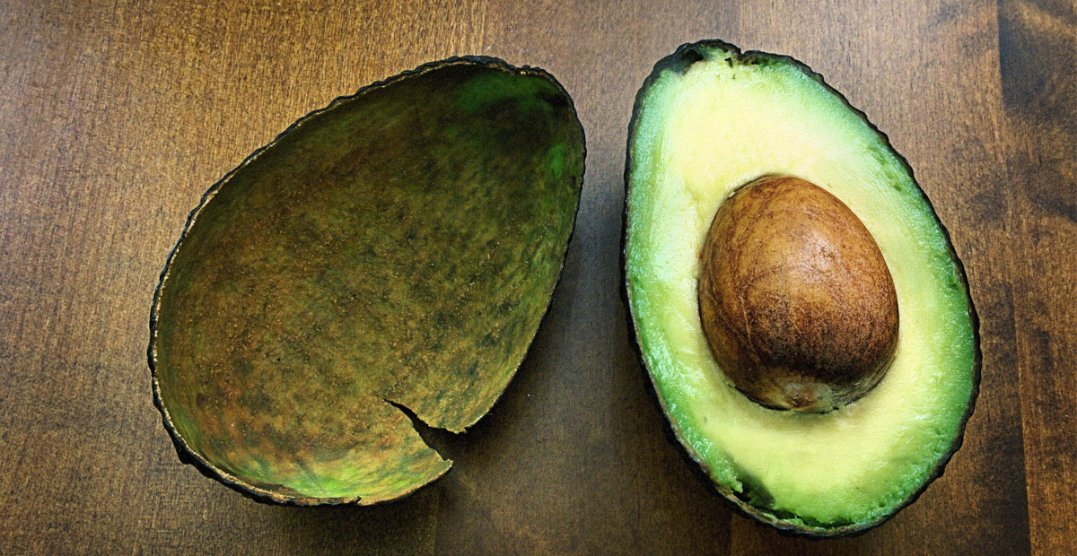 AVOKADO MASKESİ