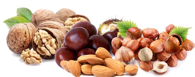 Kuruyemiş ve Tohumlar