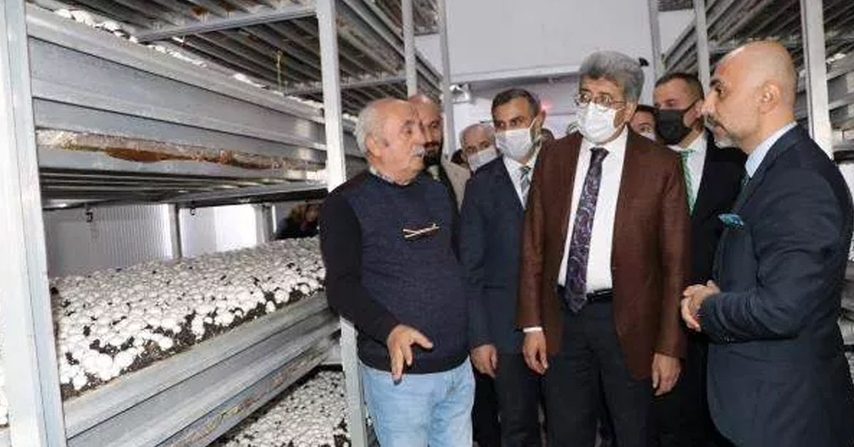 YILLIK ÜRETİM KAPASİTESİ BİN 500 TON