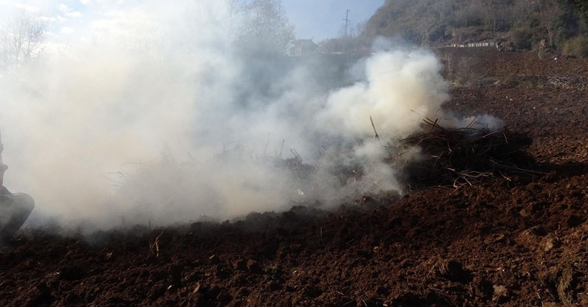 2400 dekarlık bir alan