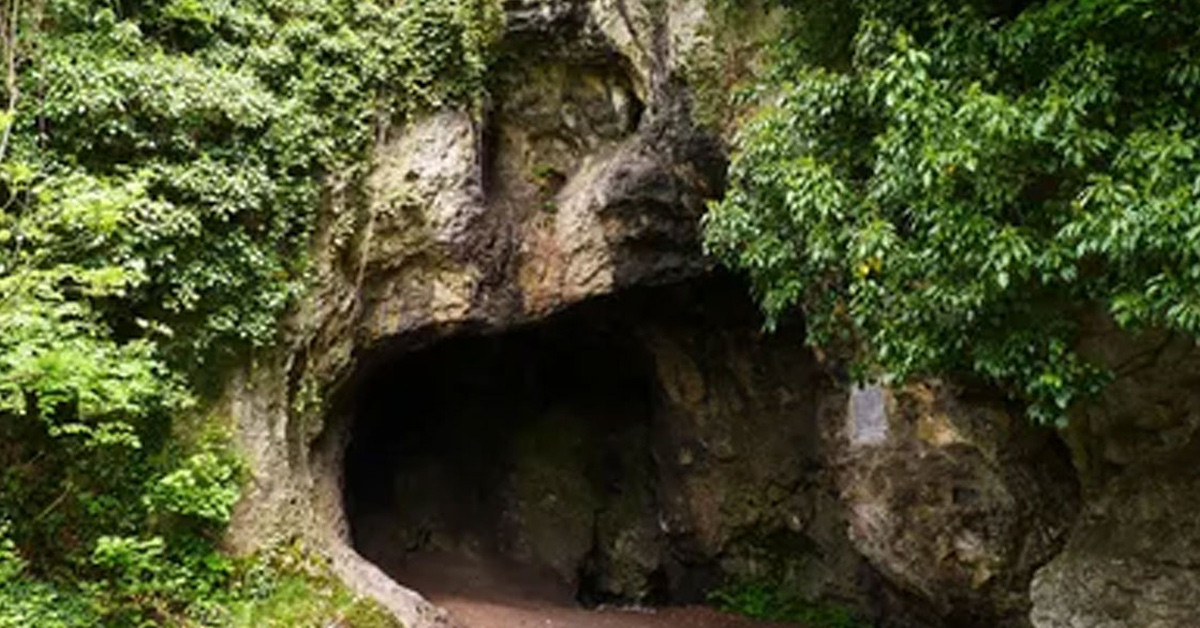 İçeride gördükleri