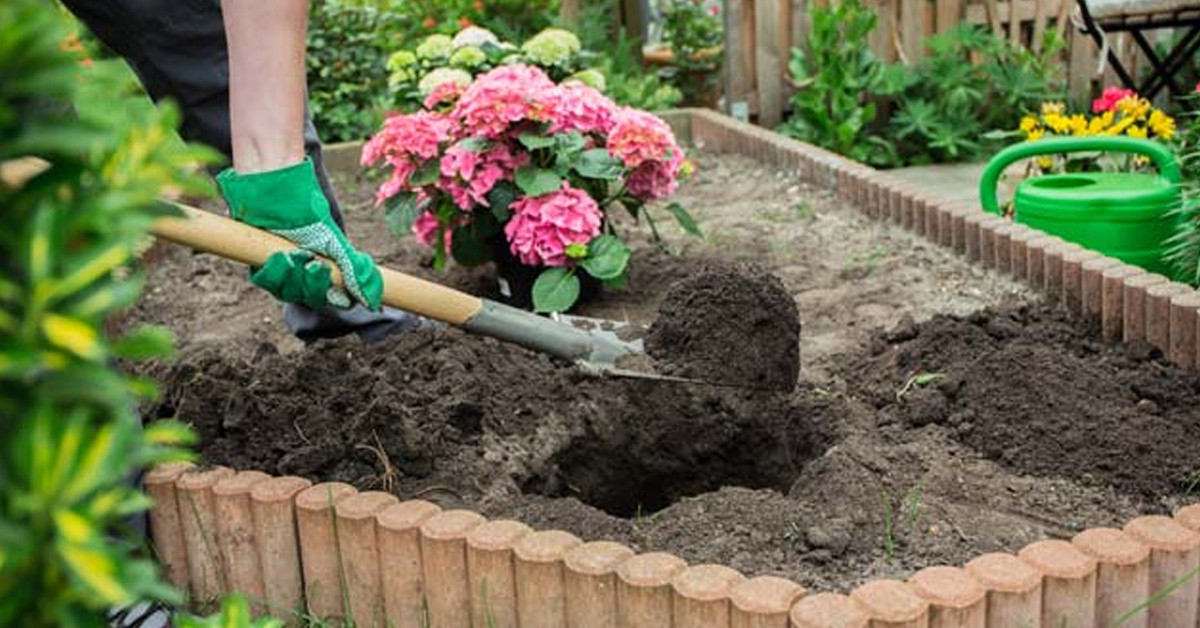 Bitkilerin yapraklarını iyileştirir 