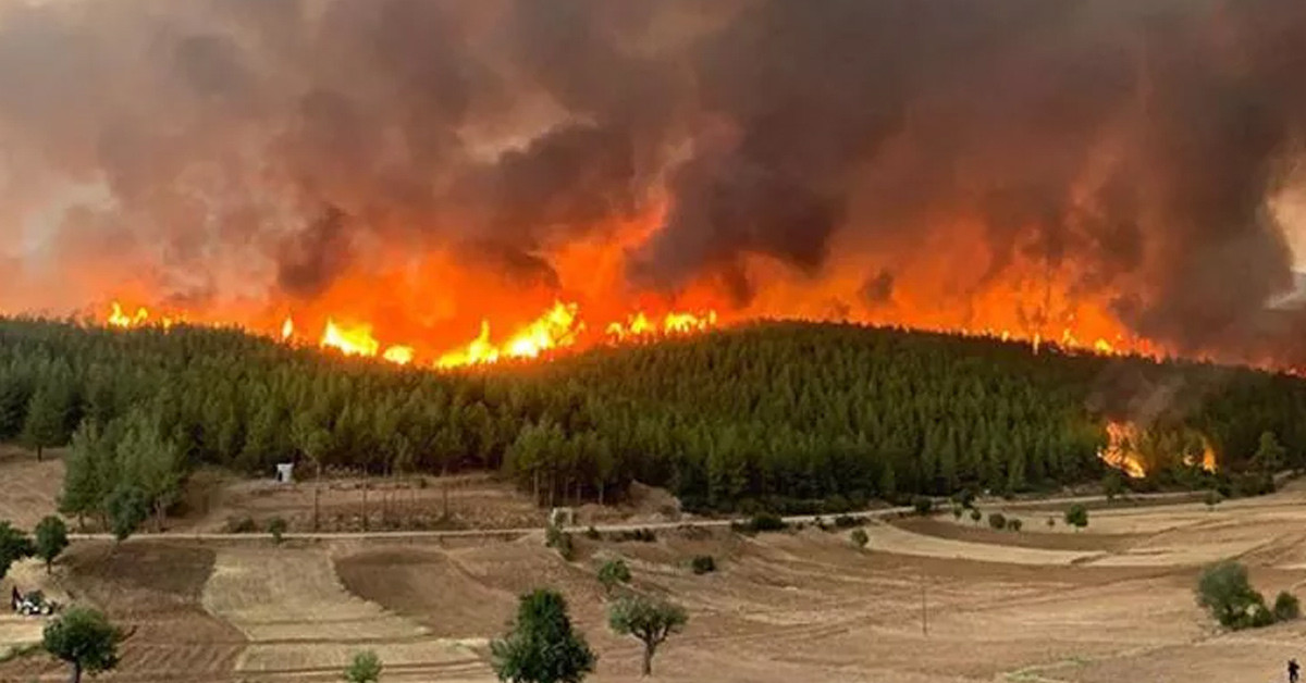 Ürünlerin üretimleri