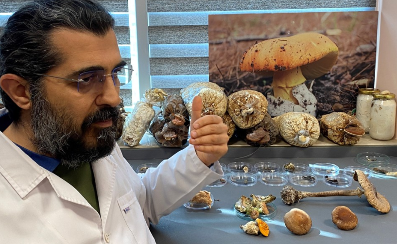 Prof. Dr. Ertuğrul Kaya