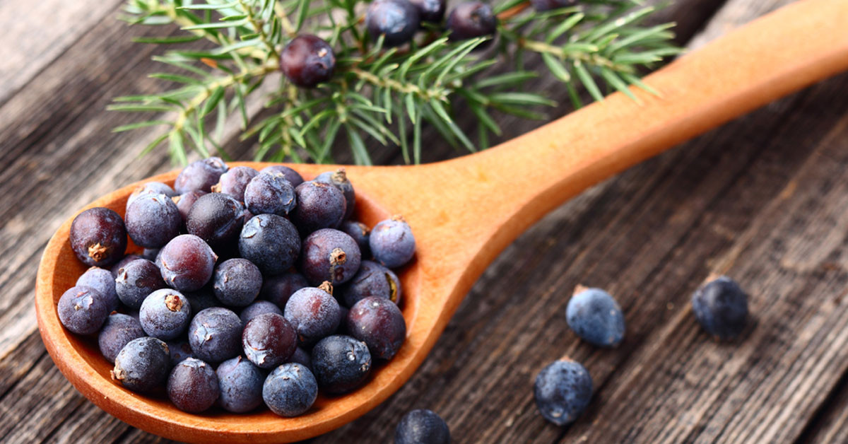 Saç köklerini güçlendiriyor