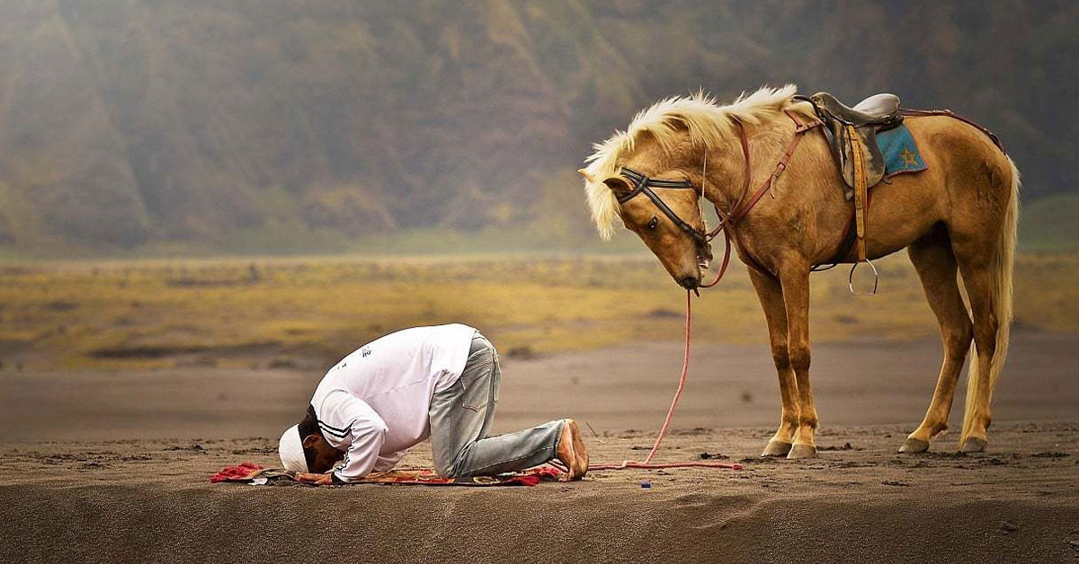 Adam hiçbir şey yapmadı