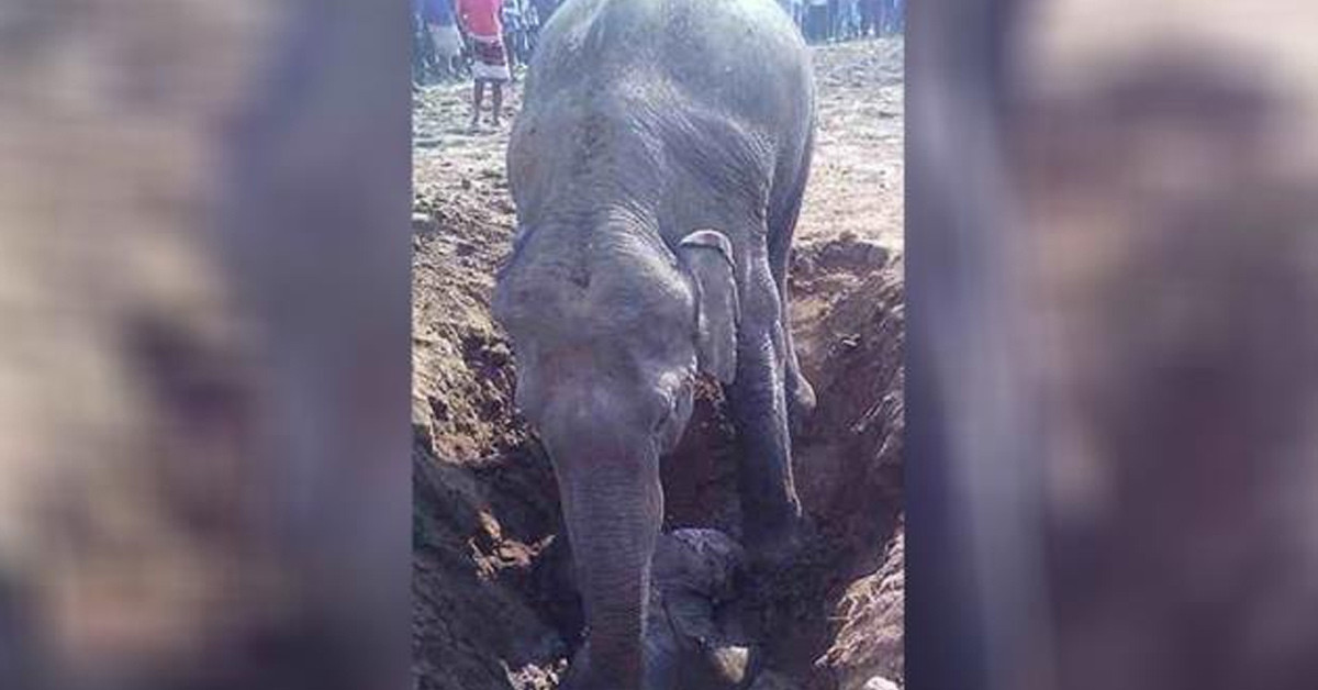 Bu hareketi alkışladılar