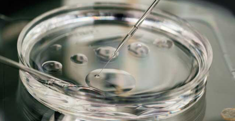 Yumurta Dondurma İşlemi Kimlere Uygulanmalı?