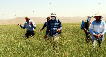 20 gündür olanlar çiftçileri isyan ettirdi! ‘73 yaşındayım, şu ana kadar böyle bir şey görmedim’