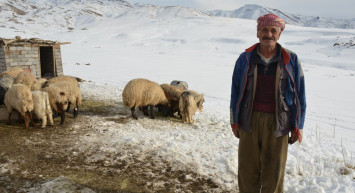 4 Yıldır Şehirden Uzak Yaylada Hayatını Sürdürüyor