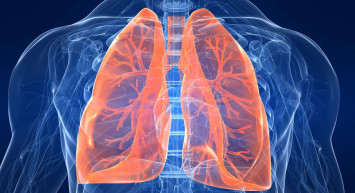 Akciğer sağlığını korumak için neler yapmalıyız? Akciğer kanserine karşı savaşan besinler