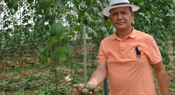 Almanya'dan Türkiye'ye Passiflora Yetiştirmek İçin Döndü, Kilosunu 76 Liradan Satıyor