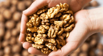 Antioksidan Deposu Ceviz Alzheimer Hastalığını Önlüyor