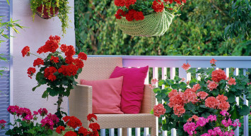 Balkon Çiçekleri ve İsimleri