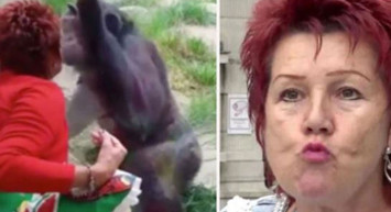 Belçika'da şempanze ile ilişki yaşadığını söyleyen kadının hayvanat bahçesine girmesi yasaklandı!