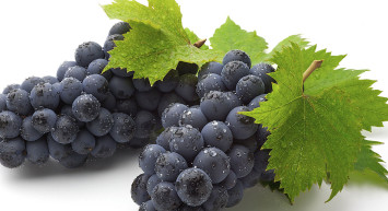 Bilim Dünyasının Gözü Bu Meyvede! Kalp Hastalığı Riskini Azaltıyor