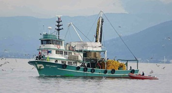 Böyle Bir Av Görülmedi! 40 Balıkçı Teknesi 40 Ton Hamsi Yakaladı