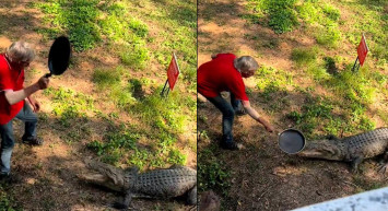 Böylesi ne duyuldu ne de görüldü! Timsaha tavayla saldıran yaşlı adam bir an bile korkmadı o görüntüler izleyenleri şaşkına çevirdi