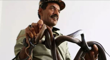 Bu adam çıldırmış! 33 yıldır yılanlarla yaşıyor ailesi artık onlar olmuş bir de onlara aşık