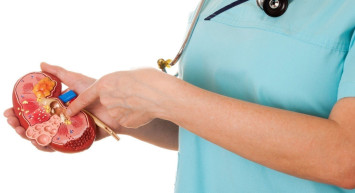 Böbrek taşı neden olur, nasıl düşürülür? Böbrek taşına yol açan besinler