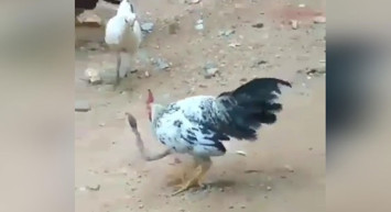 Denizli'de çekilen bu görüntüler çok korkutucu