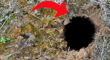 Dünyanın korkulu rüyası geri döndü! 12 dakika içinde 22 insanı öldürüyor