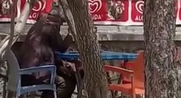 İnsanlar çıldırdı! Bebek ve Ümraniye’den sonra bir skandal da Ağrı’dan geldi dedeler…