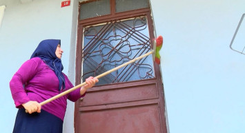 İstanbul’da Tırtıl İstilası Yaşanıyor, Tırtıllar Meyve Ağaçlarını Kuruttu