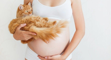 Kedilerden Bulaşan Toksoplazma Nedir?