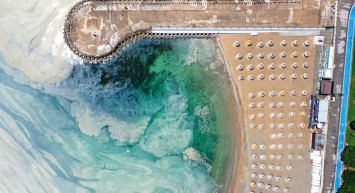 Korkutan Görüntü Caddebostan'dan Geldi! Müsilaj Arttı