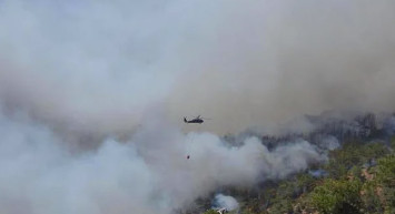 Köyceğiz ve Bodrum'da Çıkan Yangınlar Şiddetlendi