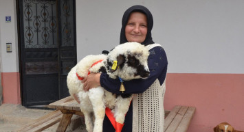 Kuzu görenleri hayrete düşürdü! Sahibine ‘anne’ diye meleyişi kameralara saniye saniye yansıdı