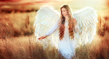 Meleklerin girmediği 23 ev