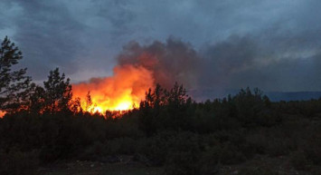 Muğla’daki orman yangınları en çok o ürünü vurdu! Üreticiler uyardı: ‘Fiyatlar yükselecek insanlar iflas edecek’