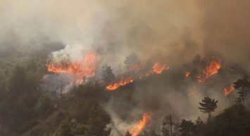 Orman Yangınlarının Tahrip Ettiği Alanların Uydu Görüntüsü Paylaşıldı