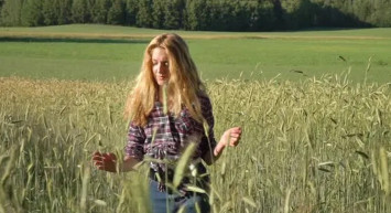 Safran Hasadı Başladı: Kilosu 60 Bin Liradan Satışa Sunulacak