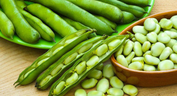 Sağlığınızı Besleyecek 7 Muhteşem Besin