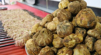 Şanlıurfa’da Keme Mantarını Bulan Köşeyi Dönüyor