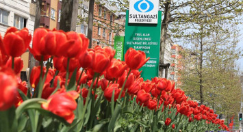 Sultangazi Rengarenk Çiçeklerle Bezendi