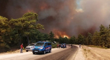 Tarım ve Orman Bakanlığı’ndan Türkiye'nin Ciğerini Yakan Orman Yangınlarıyla İlgili Açıklama