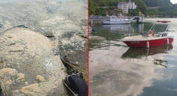 Tehlike Giderek Büyüyor! Deniz Salyası Karadeniz'de!