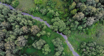 Türkiye Bu Ormanlar Sayesinde Nefes Alıyor