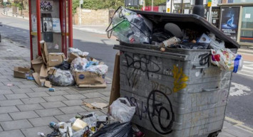 Türkiye'de korku dolu anlar! Çöpten çıkan yaratığı görenler gözlerine inanamadı
