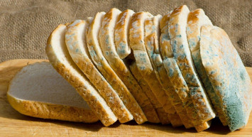 Uzmanlar uyardı: küflü besinlerinizi atmayın!