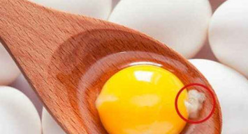 Yumurtanın içindeki ipliğe benzer beyaz şey nedir?